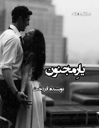 دانلود رمان یار مجنون اثر آذردخت