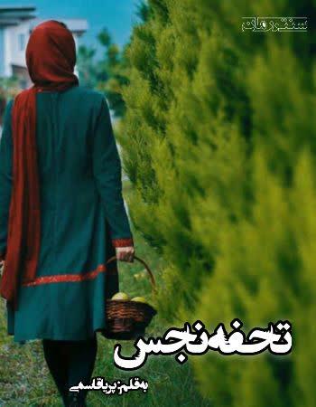 دانلود رمان تحفه ی نجس اثر پریا قاسمی دانلود رمان تحفه ی نجس اثر پریا قاسمی