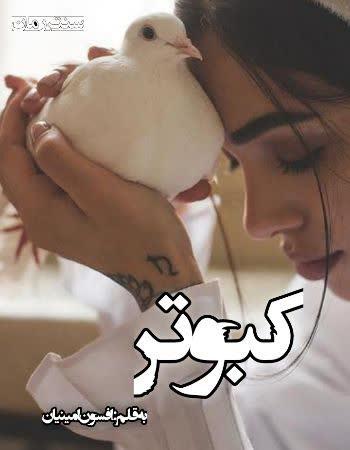 دانلود رمان کبوتر اثر افسون امینیان