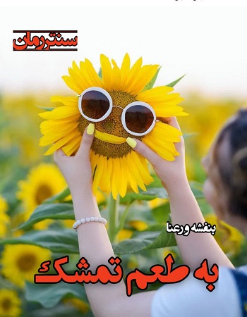 دانلود رمان به طعم تمشک  از بنفشه و رعنا