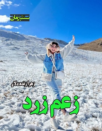 دانلود رمان زعم زرد  از زهرا زنده دلان