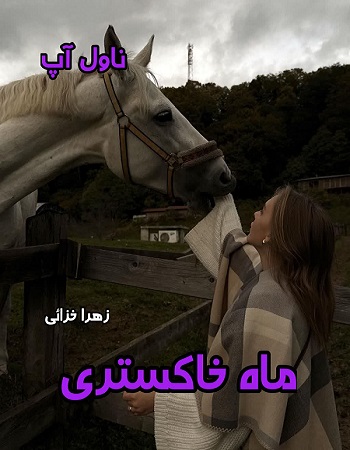 دانلود رمان ماه خاکستری از زهرا خزائی pdf